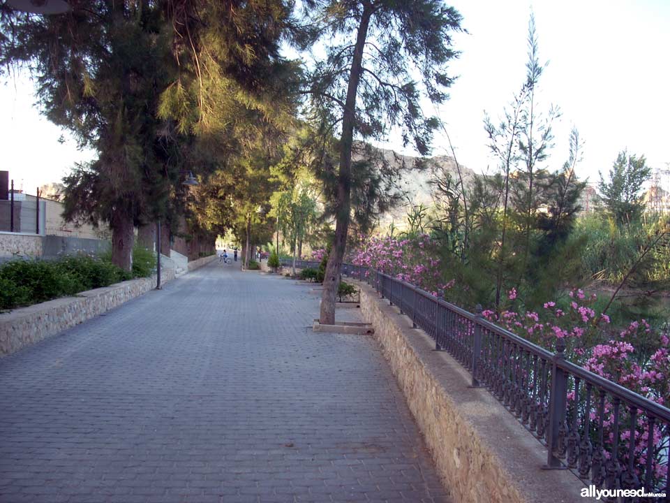 Paseo Ribereño junto al río Segura en Archena