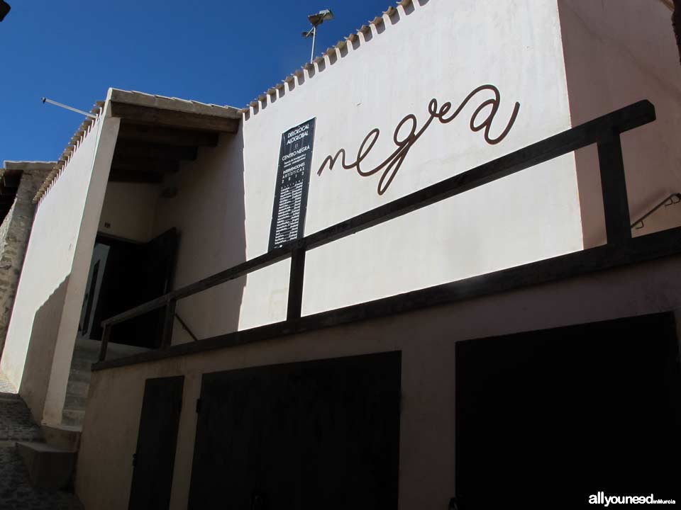 Centro Negra en Blanca