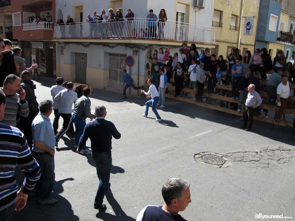 Encierros de Toros. Blanca