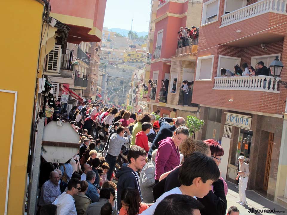 Encierros de Toros. Blanca