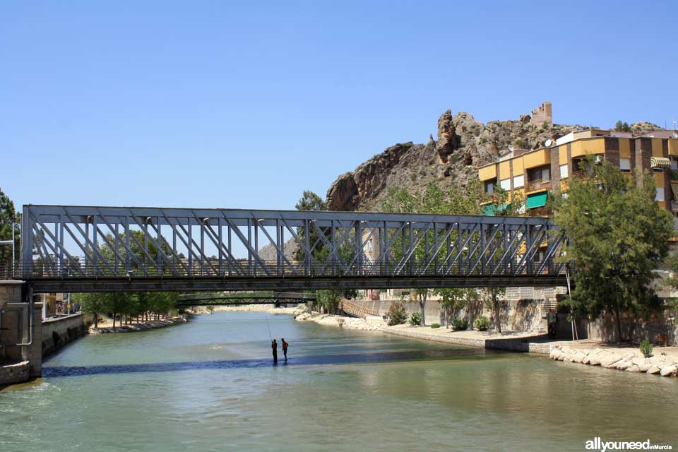 Puente de Hierro de Blanca