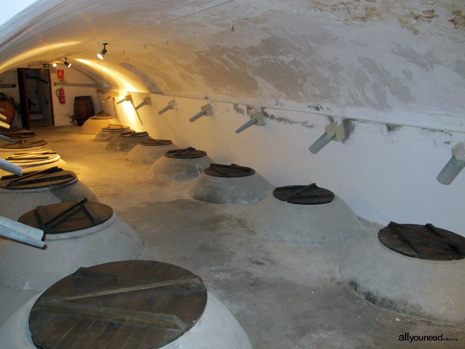 Wine cellar of the House of Mr. Pepe de Marsilla
