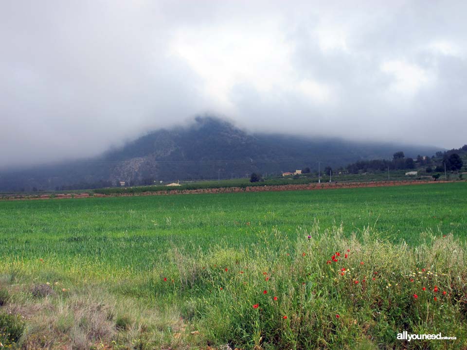 Vistas bonitas cerca del nacimiento del río