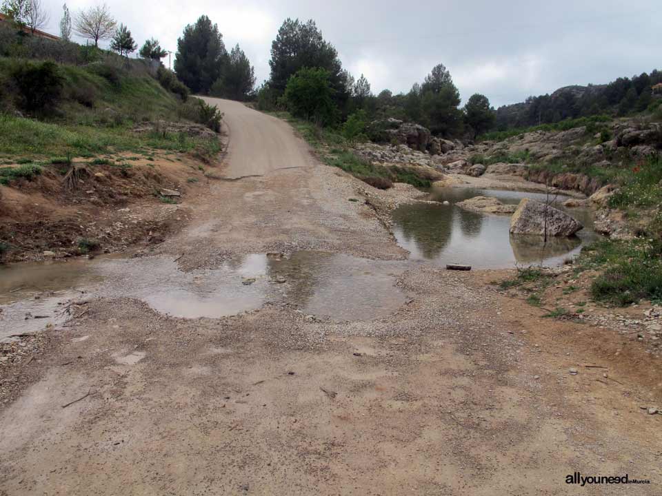 Nacimiento del río Mula