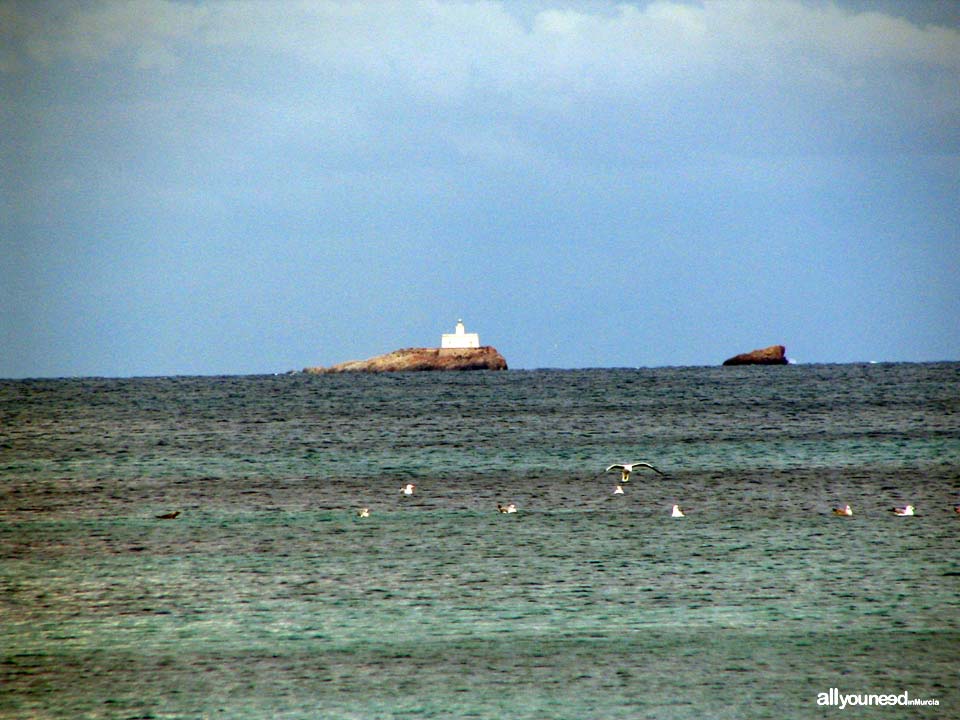 Isla Hormiga de Cabo de Palos