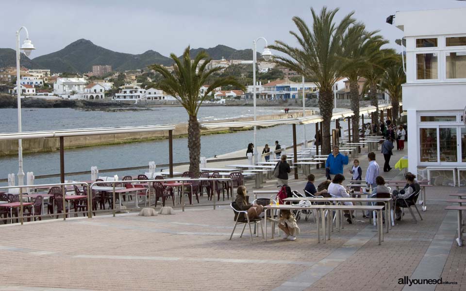 Port of Cabo de Palos