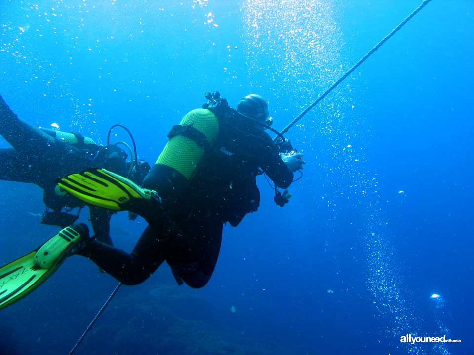 Diving in Cabo de Palos