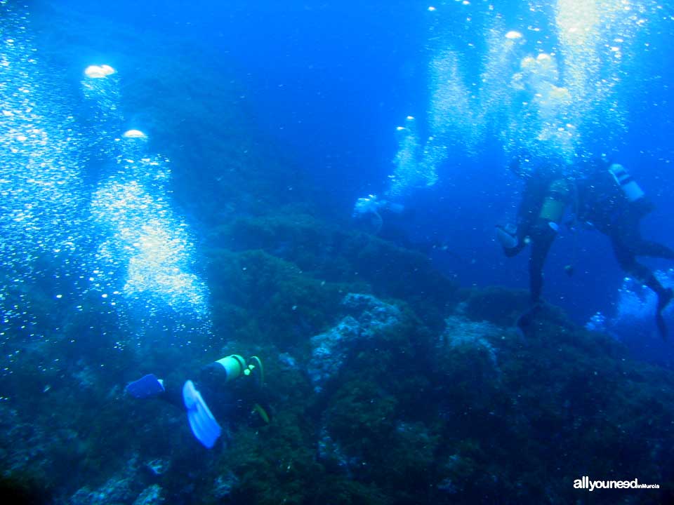 Diving in Cabo de Palos. The marine reserve of Hormigas Islands. Murcia -Spain-