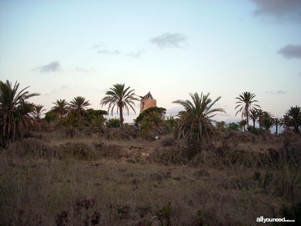 Marchamalo Windmill