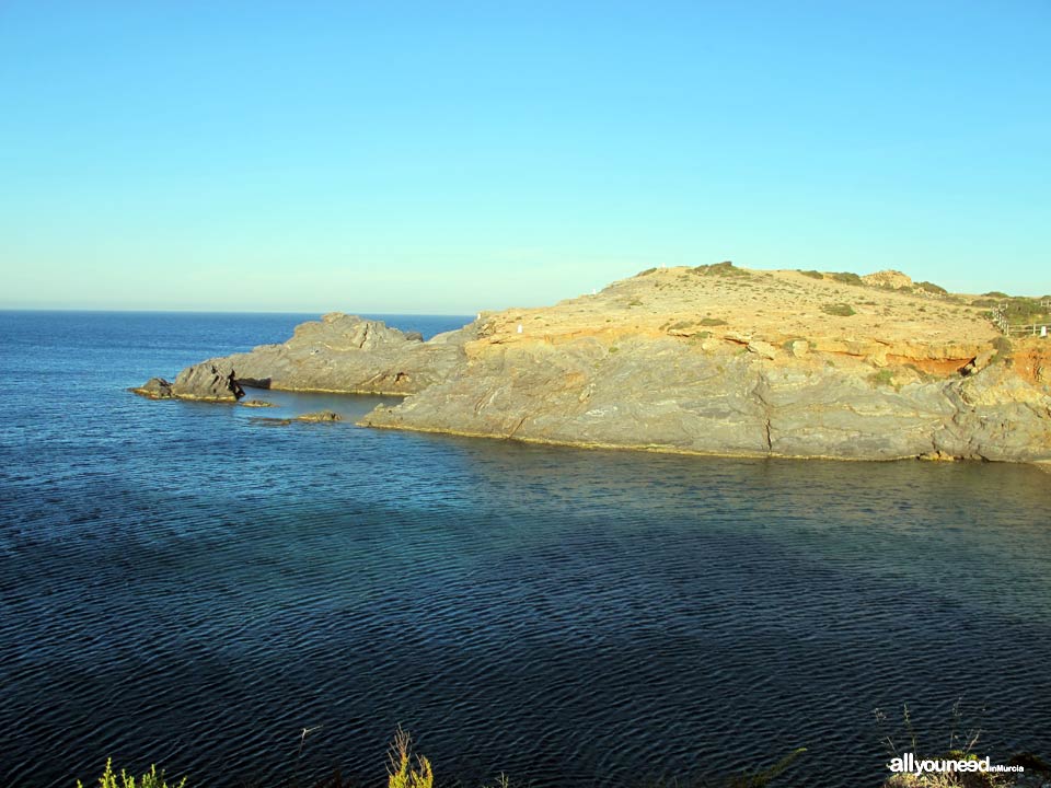 Cala Fría