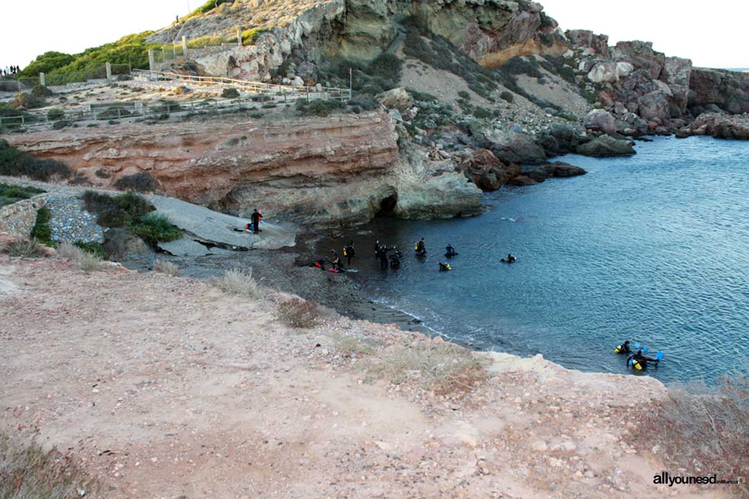 Scuba Diving in Cala Fría. Cabo de Palos