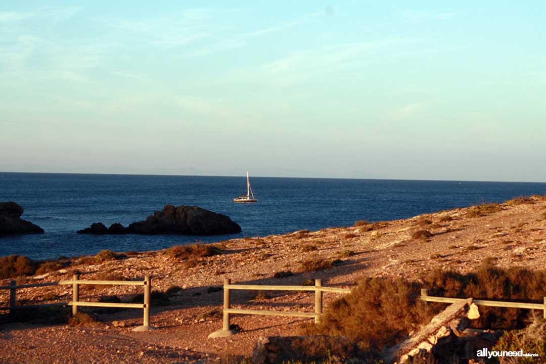 Bucear en Cala Fría. Cabo de Palos