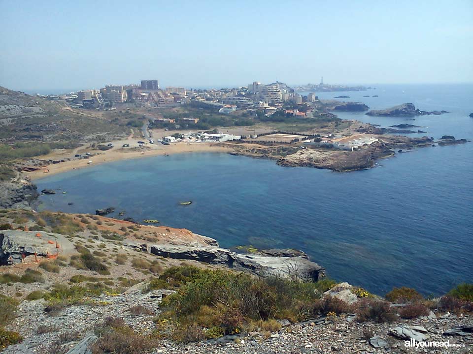 Cala Reona