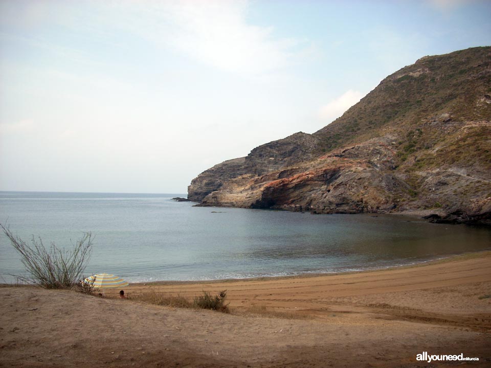 Cala Reona