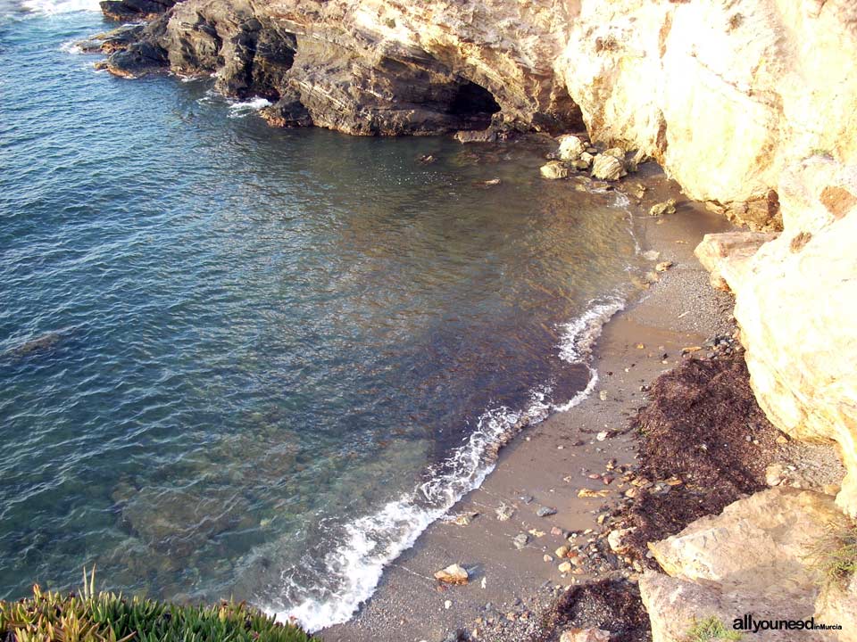 Roja Cove