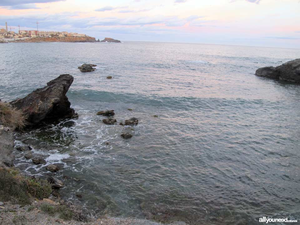 Cala Avellan