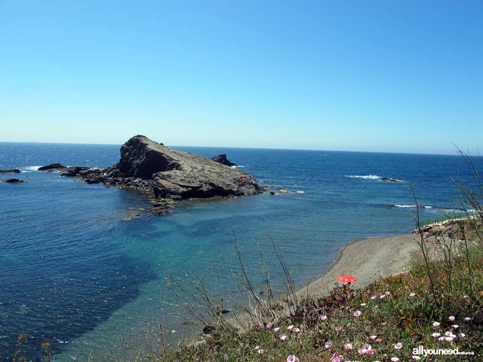 Cala del Descargador