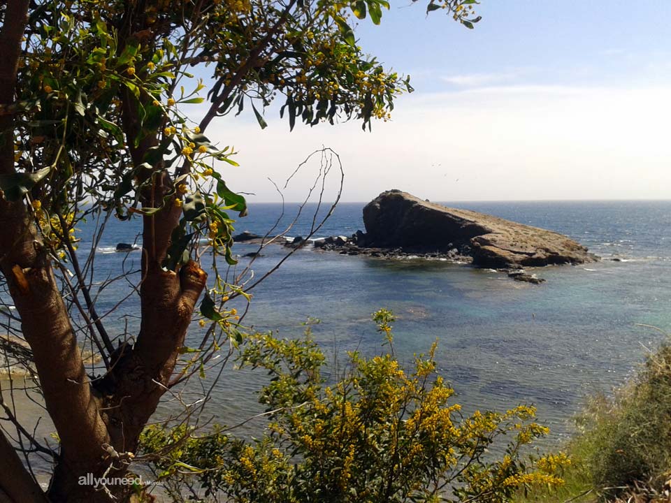 Cala del Descargador