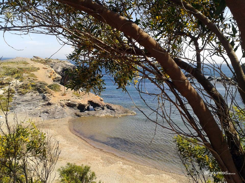 Cala del Descargador