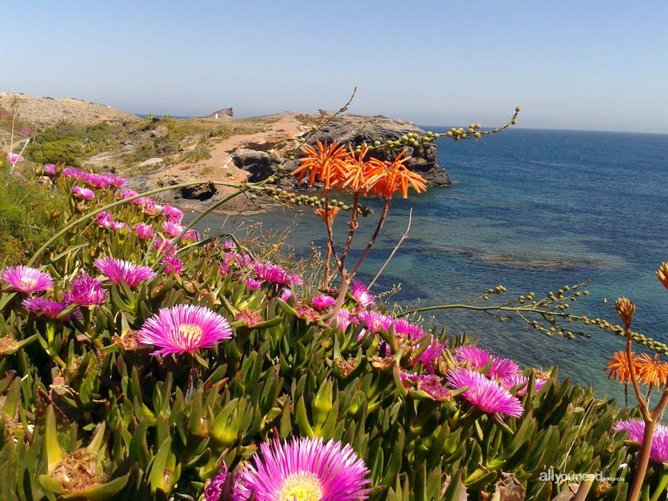 Cala del Descargador