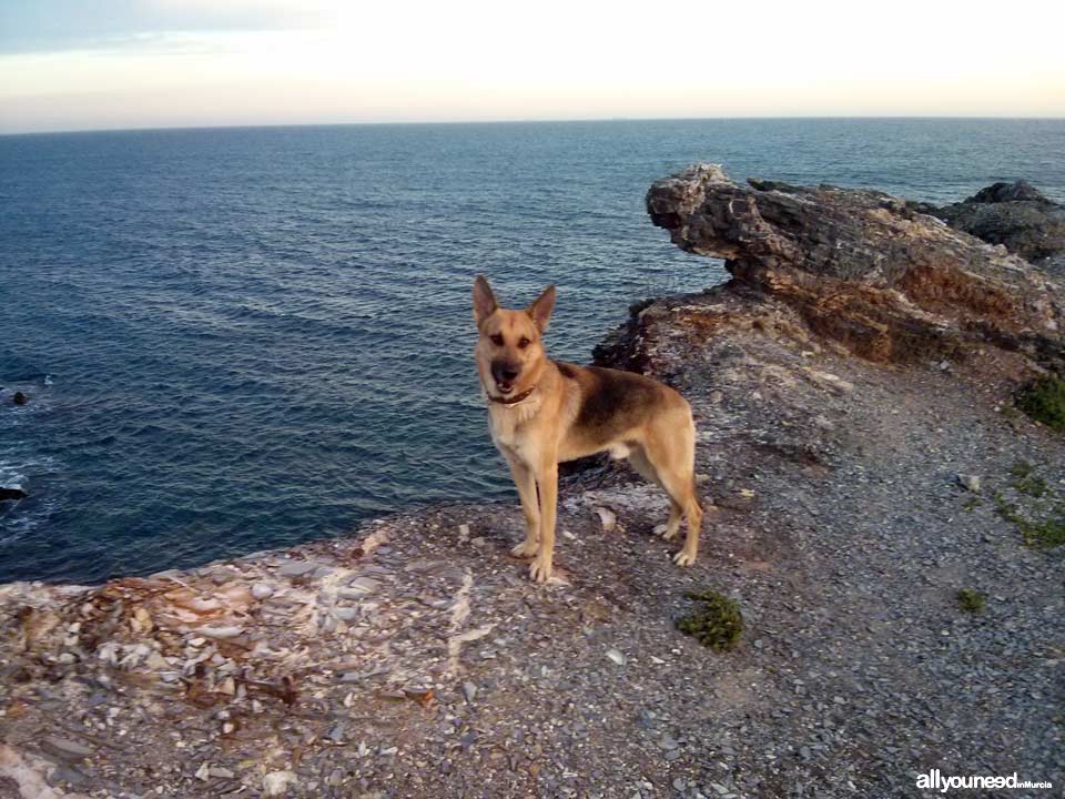 Atardecer en la Cala del Descargador