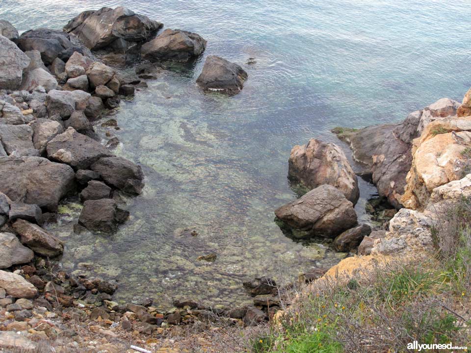 Escalerillas Cove