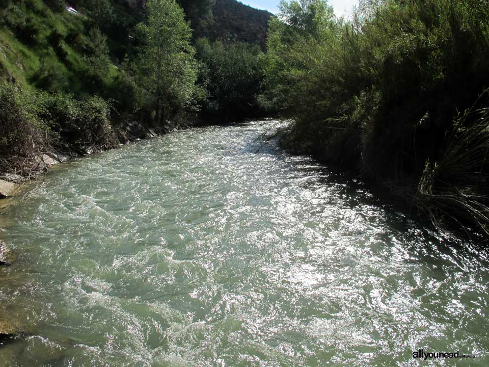 Río Segura al paso por Calasparra