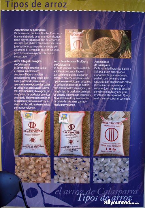 Rice Museum in Calasparra