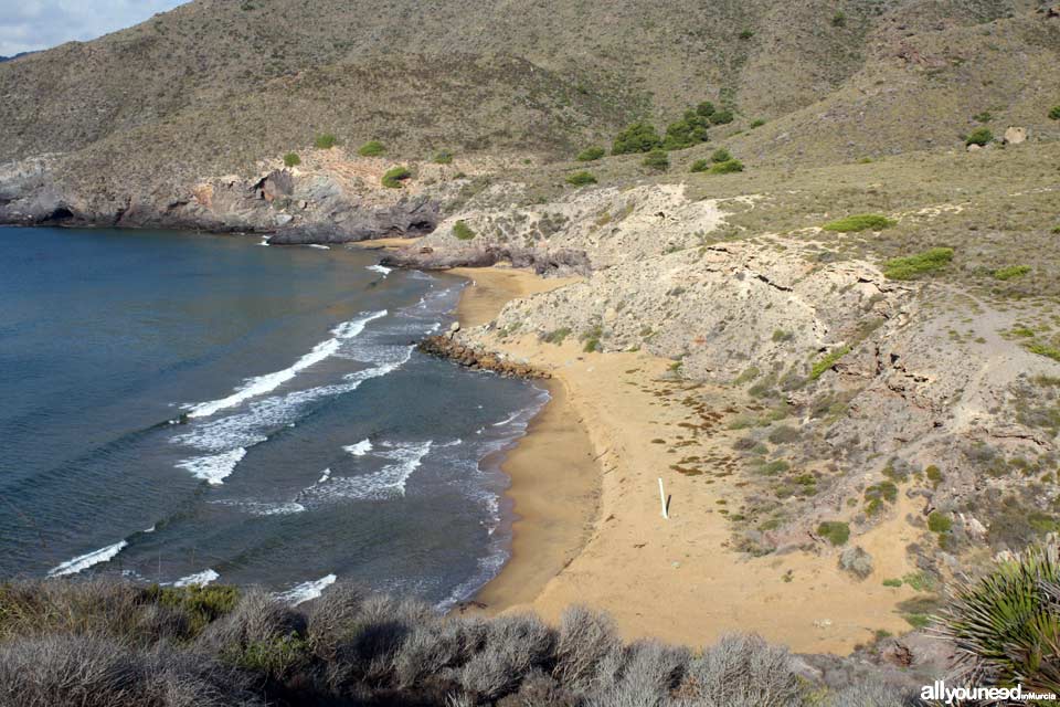 Calblanque. Playa Parreño