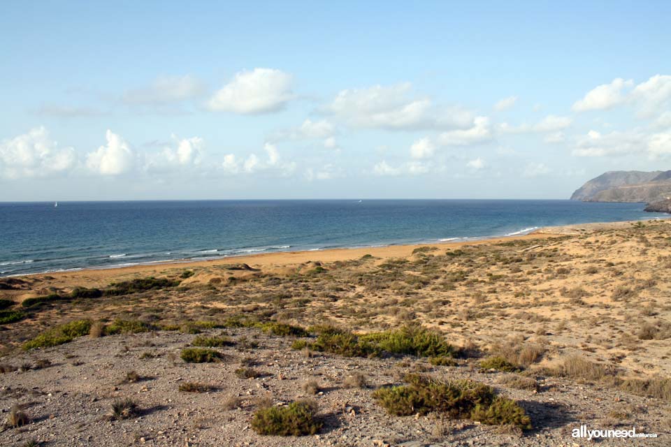 Calblanque. Playa Larga