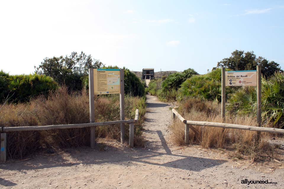 Sendero de Cala Reona a las molinetas de Calblanque