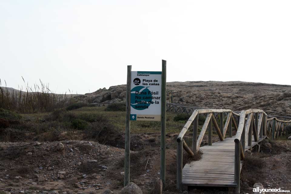 Sendero de Cala Reona a las molinetas de Calblanque