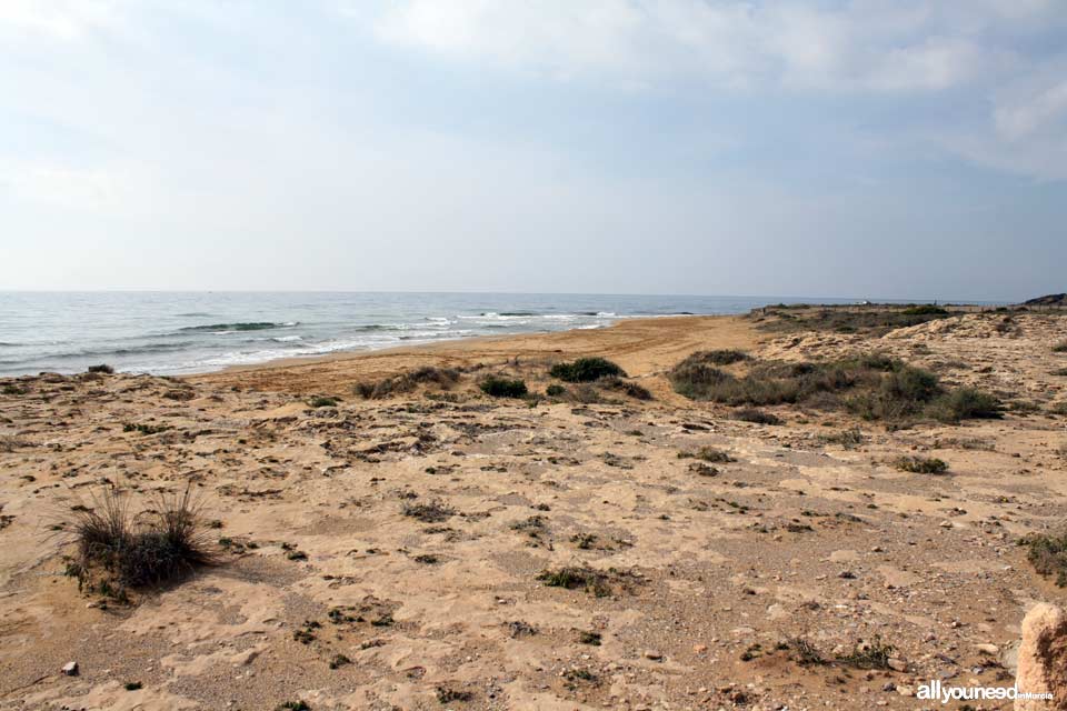 Sendero de Cala Reona a las molinetas de Calblanque