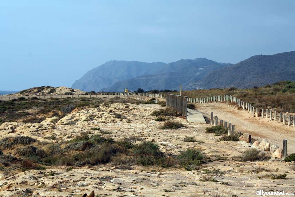 Sendero de Cala Reona a las molinetas de Calblanque