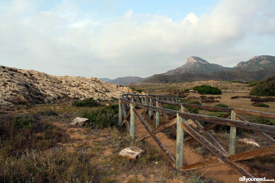 Sendero de Cala Reona a las molinetas de Calblanque