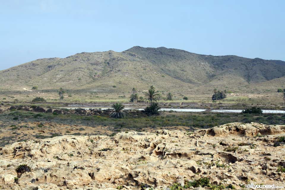 Sendero de Cala Reona a las molinetas de Calblanque