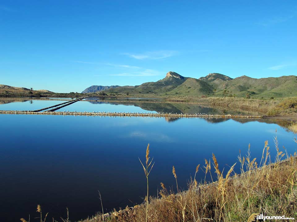 Sendero de Cala Reona a las molinetas de Calblanque