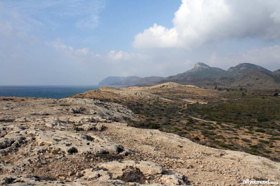 Sendero de Cala Reona a las molinetas de Calblanque