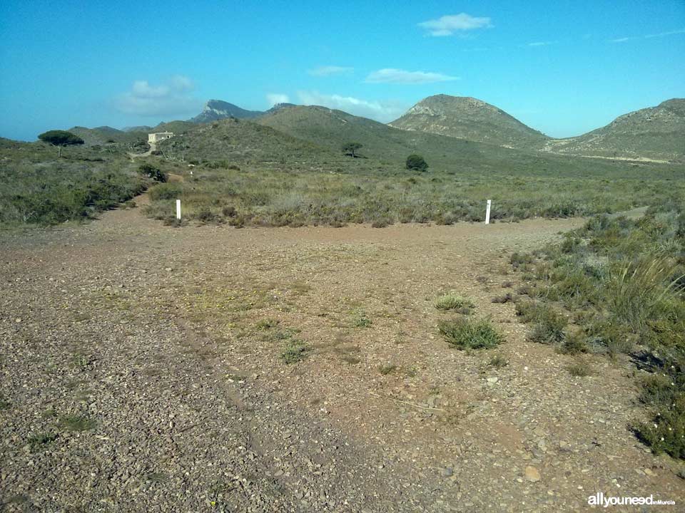 Ruta sendero de Cala Reona- Calblanque-Cala Reona