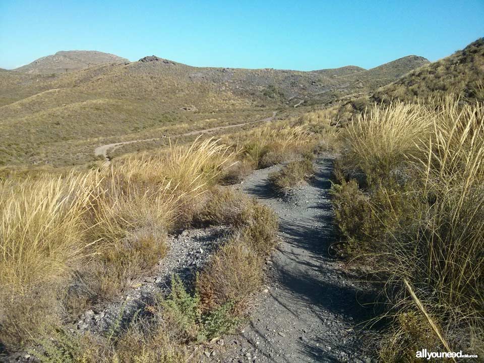 Trail from the cove of Cala Reona to Calblanque and back to Cala Reona