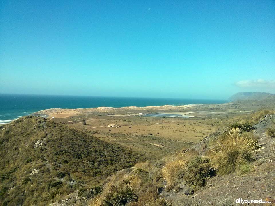 Ruta sendero de Cala Reona- Calblanque-Cala Reona