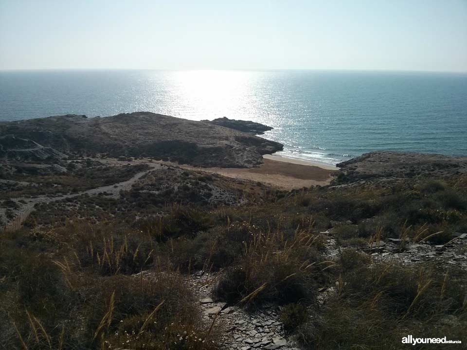 Ruta sendero de Cala Reona- Calblanque-Cala Reona