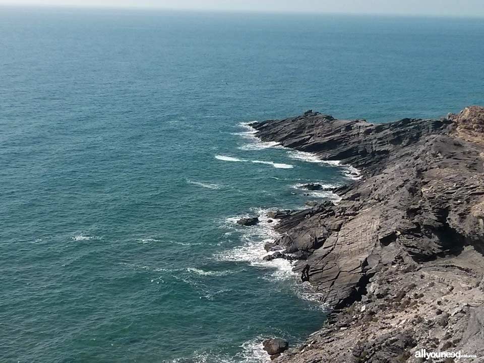 Trail from the cove of Cala Reona to Calblanque and back to Cala Reona