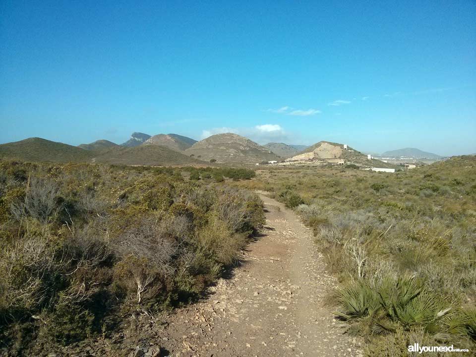 Trail from the cove of Cala Reona to Calblanque and back to Cala Reona