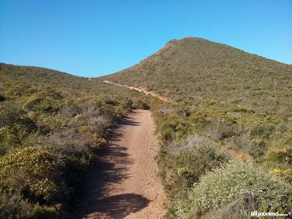 Ruta sendero de Cala Reona- Calblanque-Cala Reona