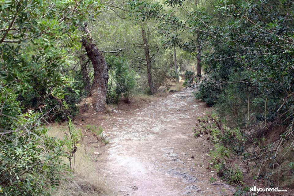 Calzada Romana. Senderismo en Calblanque