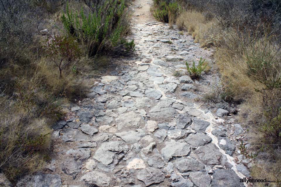 Roman Pathway
