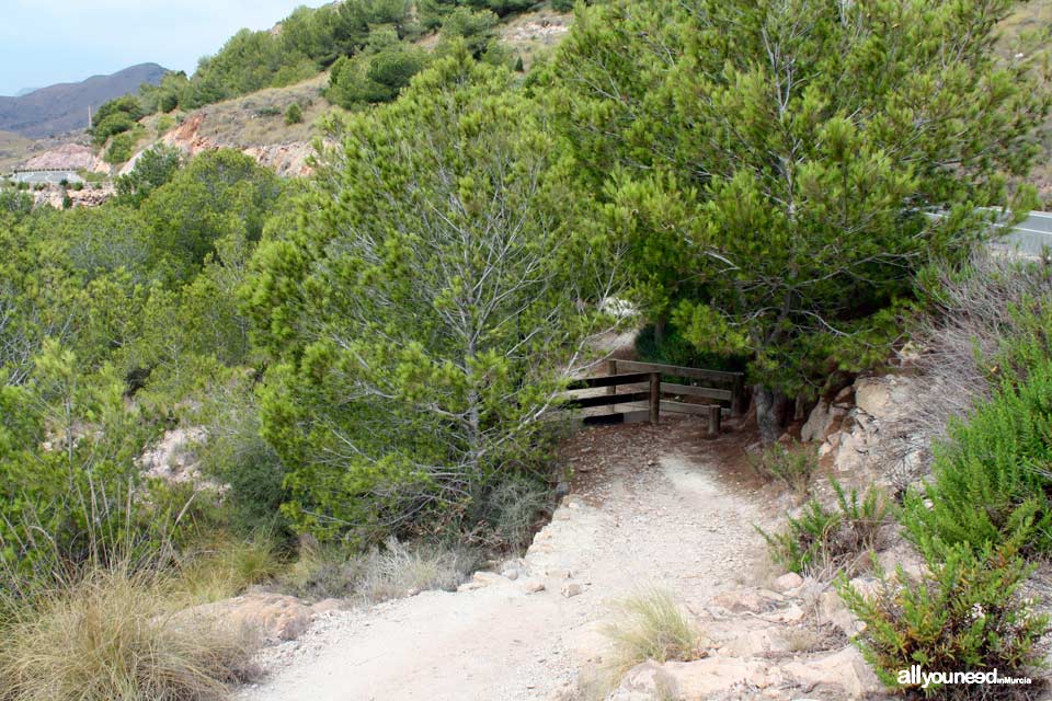 Calzada Romana. Senderismo en Calblanque