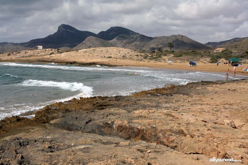 Playa de Calblanque, nudista de arena dorada. Playas de 