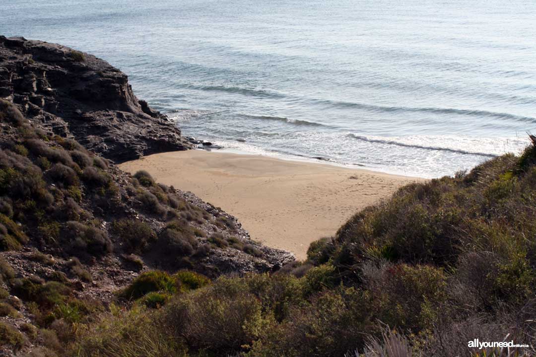 Cala Golera. Playas de Calblanque. Murcia